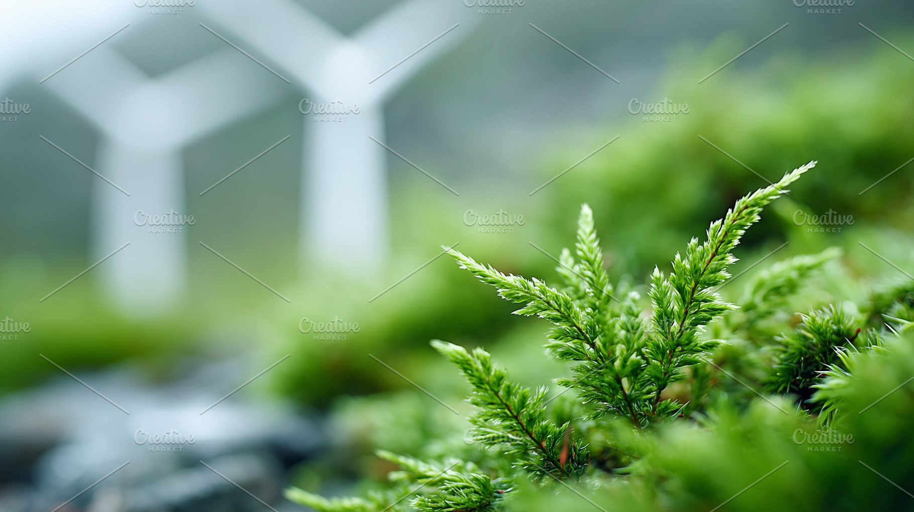 Green plants with wind turbines, a Nature Photo by MistyDay