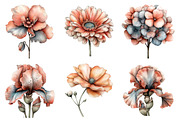 Watercolor Spring Flower Clipart, an Illustration by Design Market (Thumbnail 4 of 5)