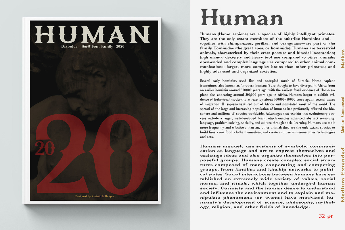 Diabolus - Serif Font Family, a Serif Font by Artistic & Unique (Photo 8 of 14)