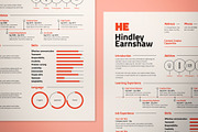 Professional Resume & Cover Letter, a Resume Template by The Good Store (Thumbnail 2 of 3)
