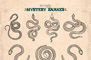 Mystery Snakes, an Animal Illustration by Ink Stories (Thumbnail 4 of 31)