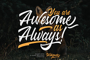Wakanda Script Business Font, a Script Font by Creatype Studio (Thumbnail 7 of 9)