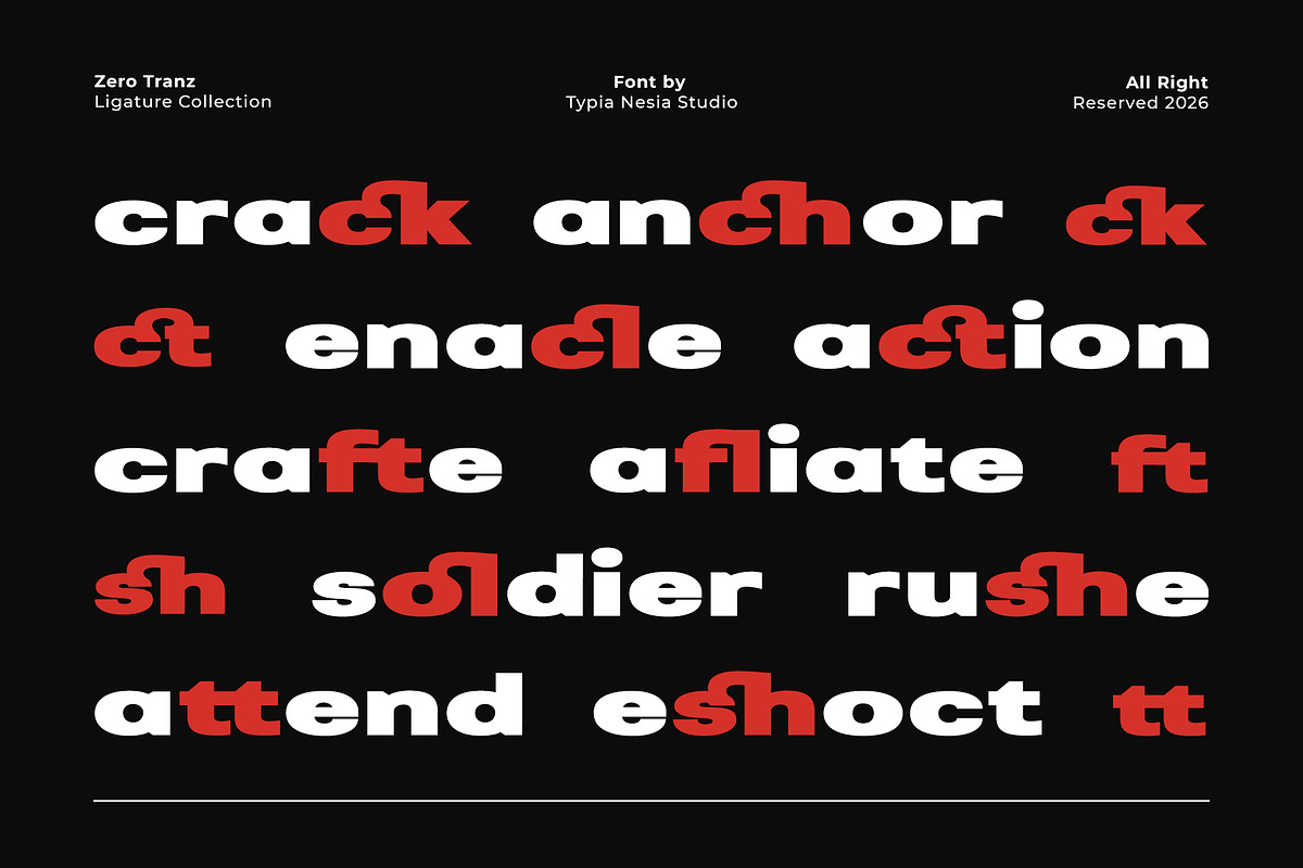 Zero Tranz - Bold Modern Expanded, a Sans Serif Font by Typia Nesia (Photo 5 of 12)