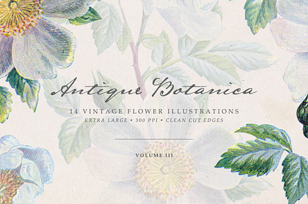 Vintage Flowers Vol.03 - Extra Large