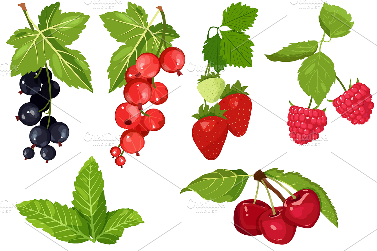 Collection Of Soft Drinks, a Food Illustration by artdemidova (Photo 6 of 8)