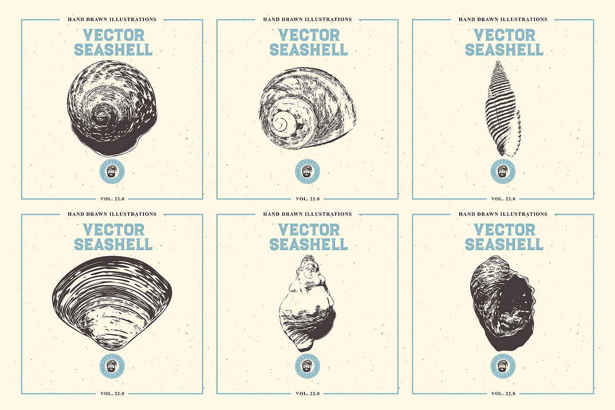 VECTOR SEASHELL HAND DRAWN BUNDLE 22, an Illustration by pawellpi (Photo 3 of 10)