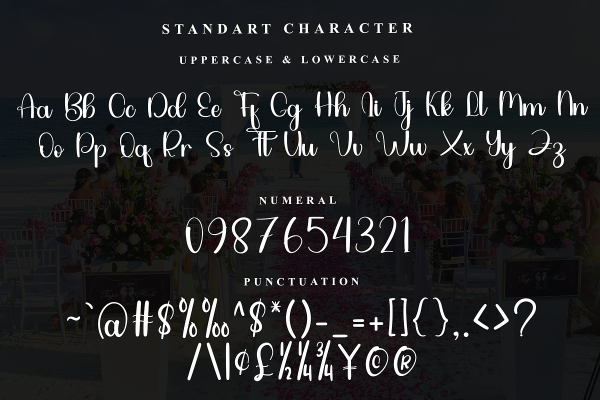 Wedding, a Handwritten Font by FreshTypeINK (Photo 7 of 7)