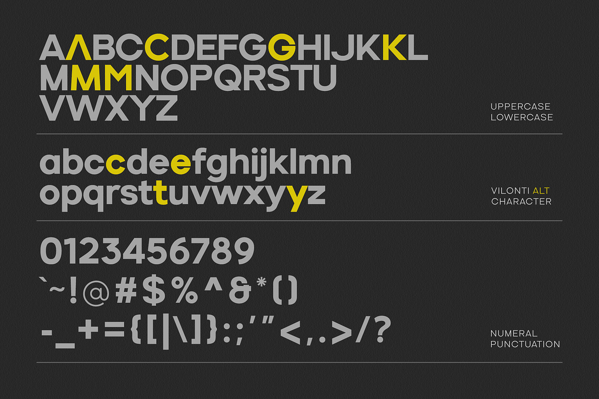 Vilonti, a Sans Serif Font by OWL KING (Photo 3 of 10)