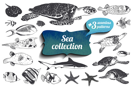 19 sea animals + patterns. Vector