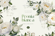 Watercolor wedding white peonies, a Decorative Illustration by MariGraphic boutique (Thumbnail 1 of 10)