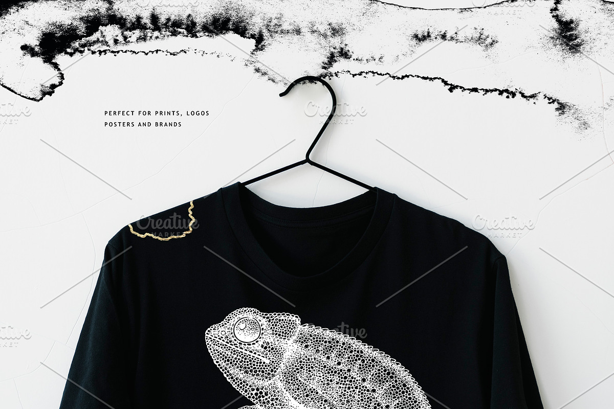BUNDLE. Tropical Plants & Animals, an Object Graphic by Yevheniia (Photo 7 of 8)