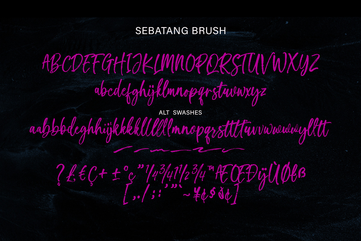 Sebatang Brush, a Script Font by Realtype (Photo 10 of 10)