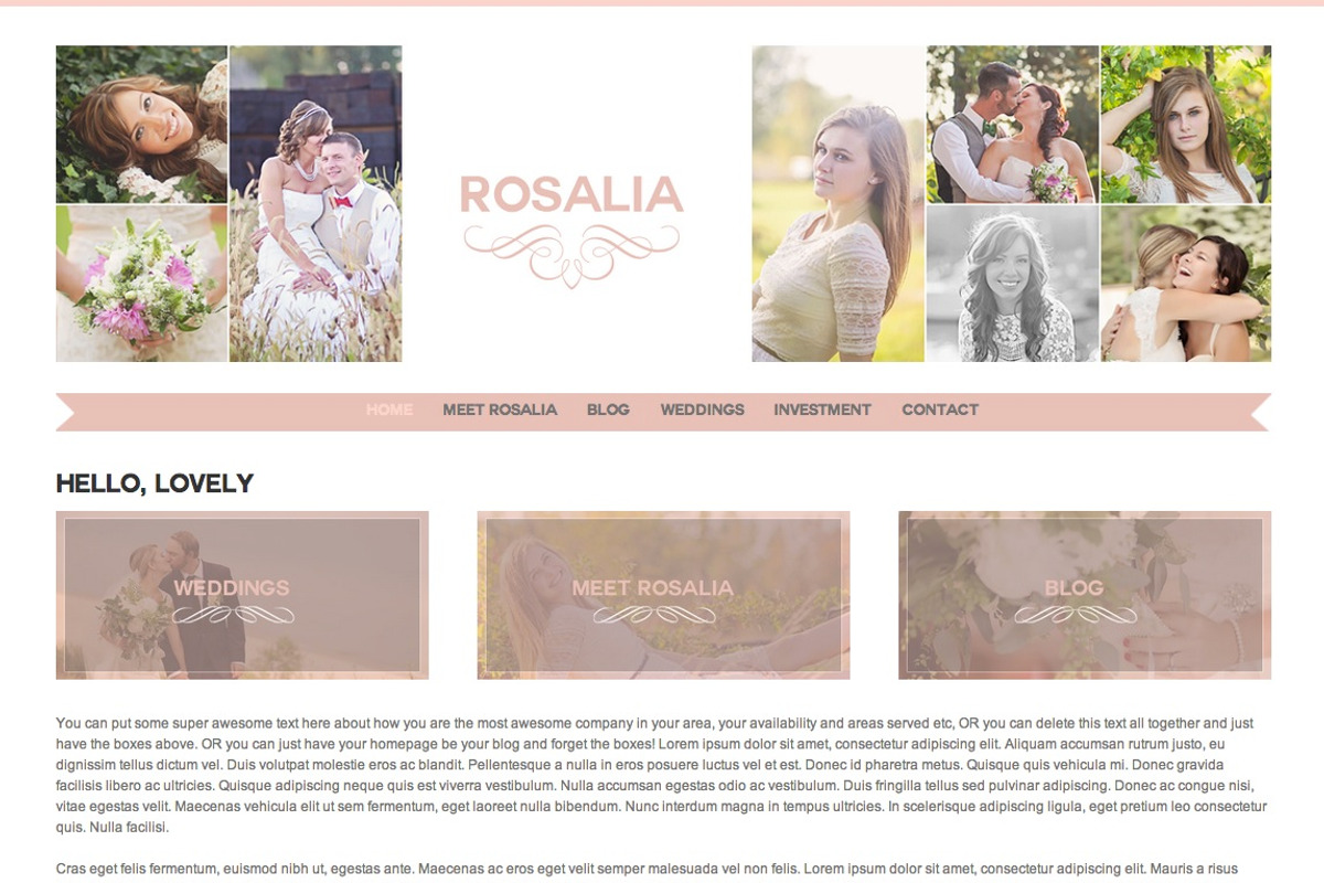Rosalia Responsive Wordpress Theme, a WordPress Template by Color Splash Studio (Photo 3 of 5)