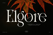 Elgore Elegant Modern Serif Font, a Serif Font by Graphicxell (Thumbnail 1 of 8)