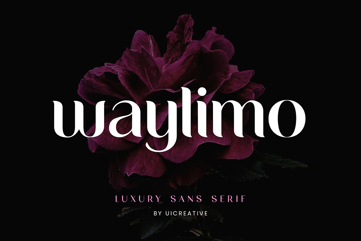 Waylimo Modern Sans Serif Font, a Sans Serif Font by UICreative (Photo 1 of 13)