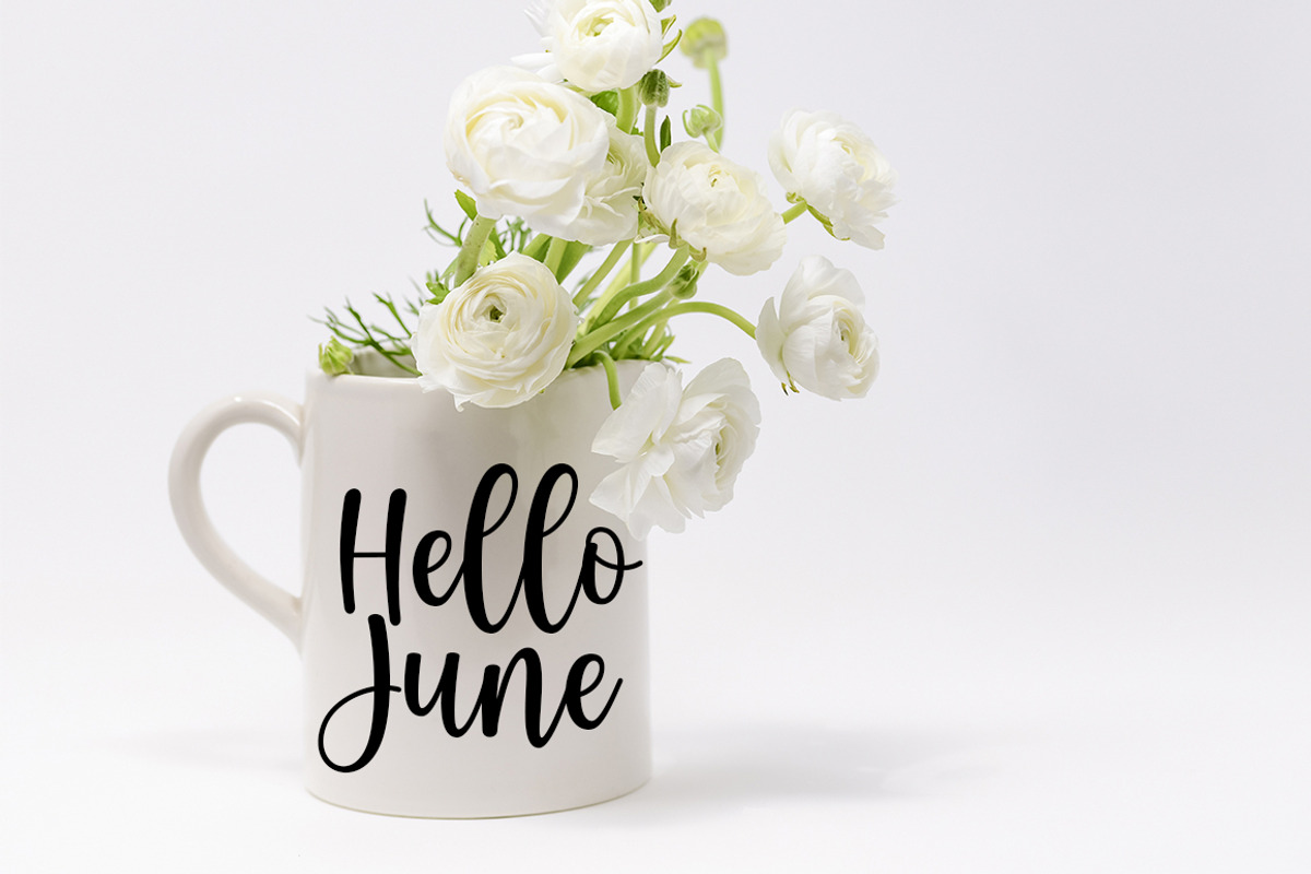 Guten Morgen, a Script Font by Natural Ink Studio (Photo 6 of 7)