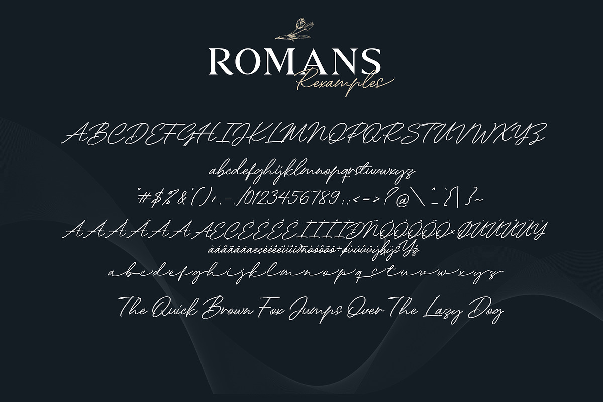 ROMANS Rexamples Font Duo preview 8