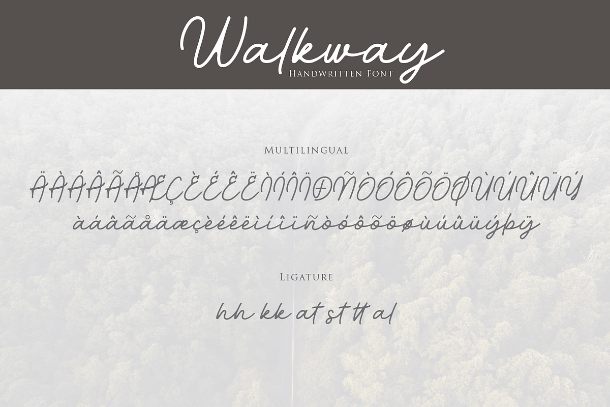 Walkway Font + Bonus Vector, a Script Font by sabrcreative (Photo 10 of 11)