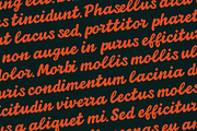 Aurevina - Retro Script Font, a Script Font by Indotype Foundry (Thumbnail 5 of 10)