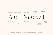 Flatline Serif Complete - 16 fonts, a Serif Font by Up Up Creative (Thumbnail 3 of 13)