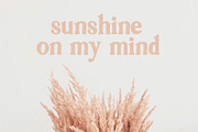 Sugar Peach - Font For Crafters, a Serif Font by BarcelonaShop (Thumbnail 4 of 11)