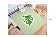 Etsy Friendly Cut File Mockup Kit, a Cups & Container Mockup by Drifter Studio PrintShop (Thumbnail 6 of 7)