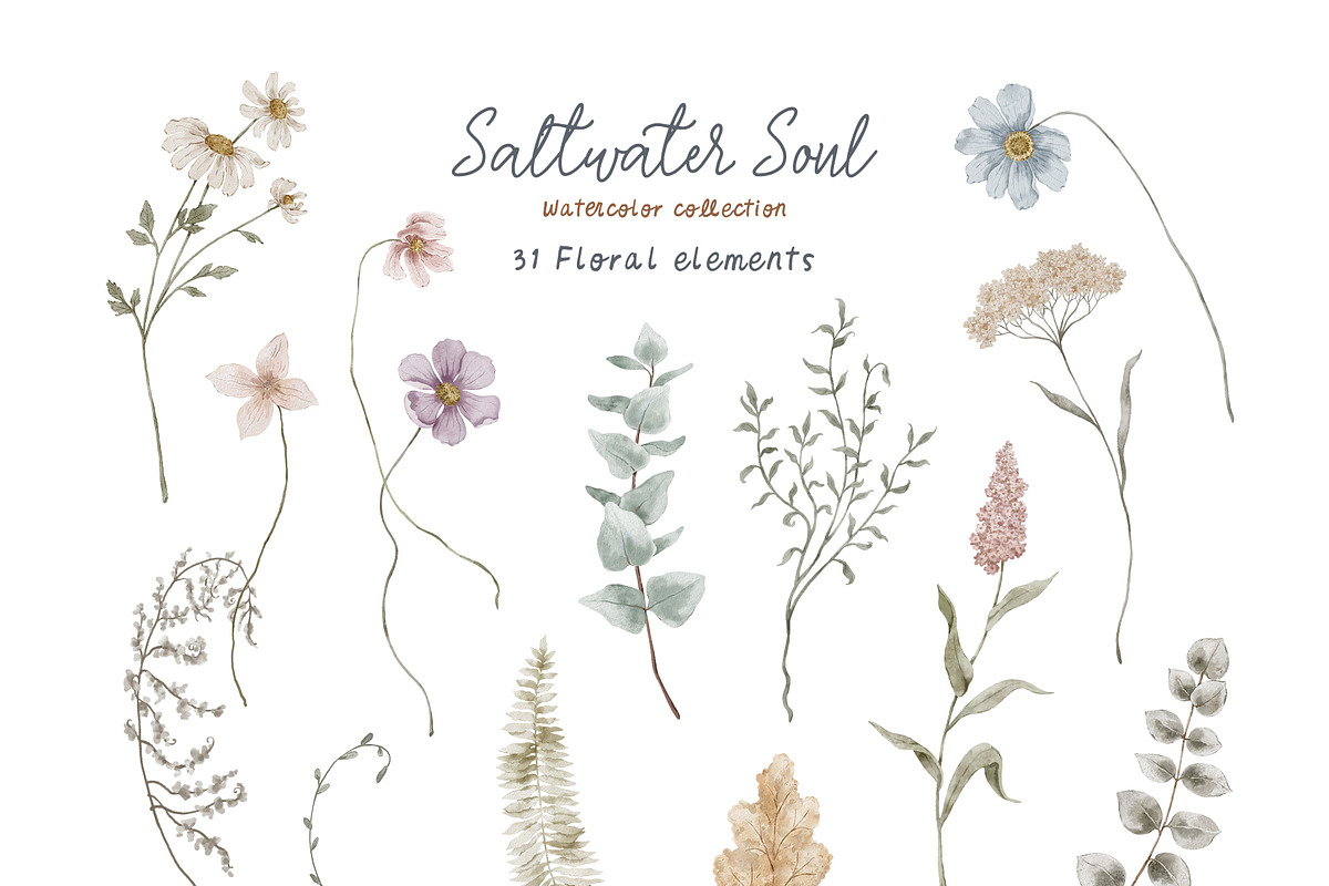 SALTWATER SOUL watercolor clipart, a Decorative Illustration by long summer (Photo 13 of 15)