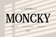 Moncky Modern Serif Font