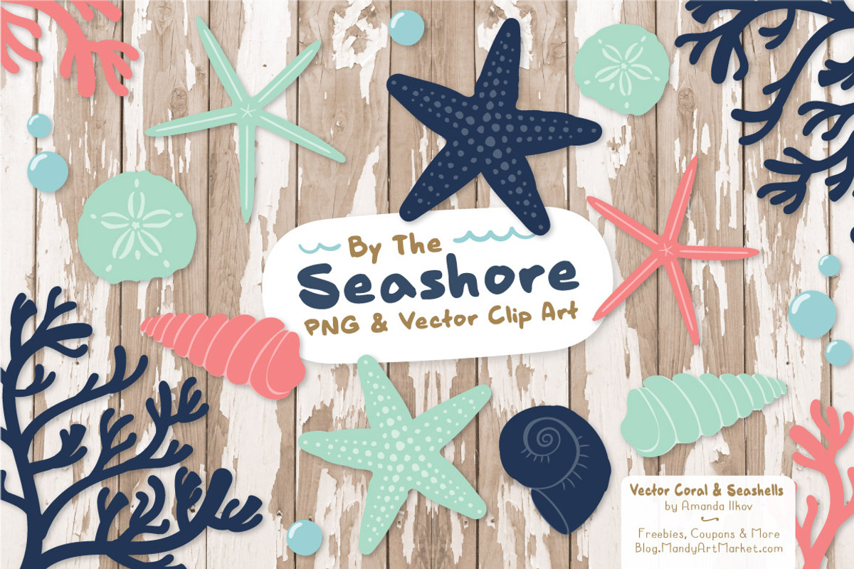 Modern Chic Vector Seashells, an Illustration by Amanda Ilkov (Photo 2 of 5)