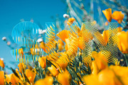 Hyper Glass 01 (11 Glass Effects), a Texture Graphic by Hyperpix Productions (Thumbnail 4 of 11)