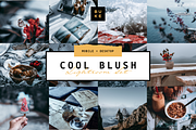 5 Cool Blush Lightroom Presets Pack, a Preset Add-On by SHOOM HOUSE (Thumbnail 1 of 8)