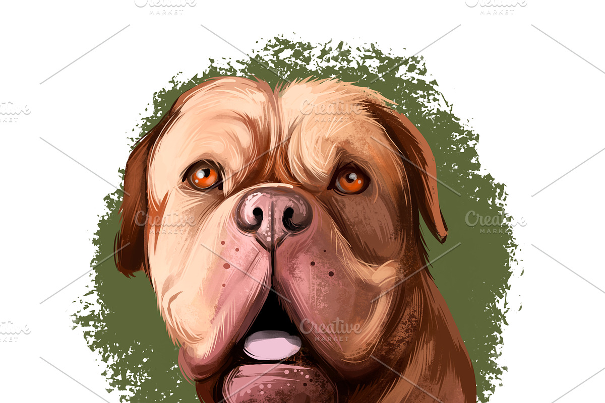Most Popular Dog Breeds Pet Portrait, an Animal Illustration by Dneprstock (Photo 9 of 23)