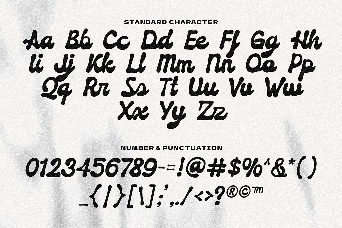 Roille Retro Script Classic, a Script Font by Typetemp Studio (Photo 23 of 23)