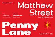 DV Curtis Sans, a Sans Serif Font by Damelev (Thumbnail 15 of 18)