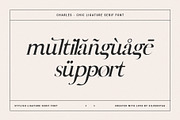 Charles - Ligature Serif Font Family, a Serif Font by SilverStag Type Foundry (Thumbnail 24 of 32)