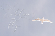 Washington Calligraphy Modern, a Script Font by Teweka (Thumbnail 15 of 19)
