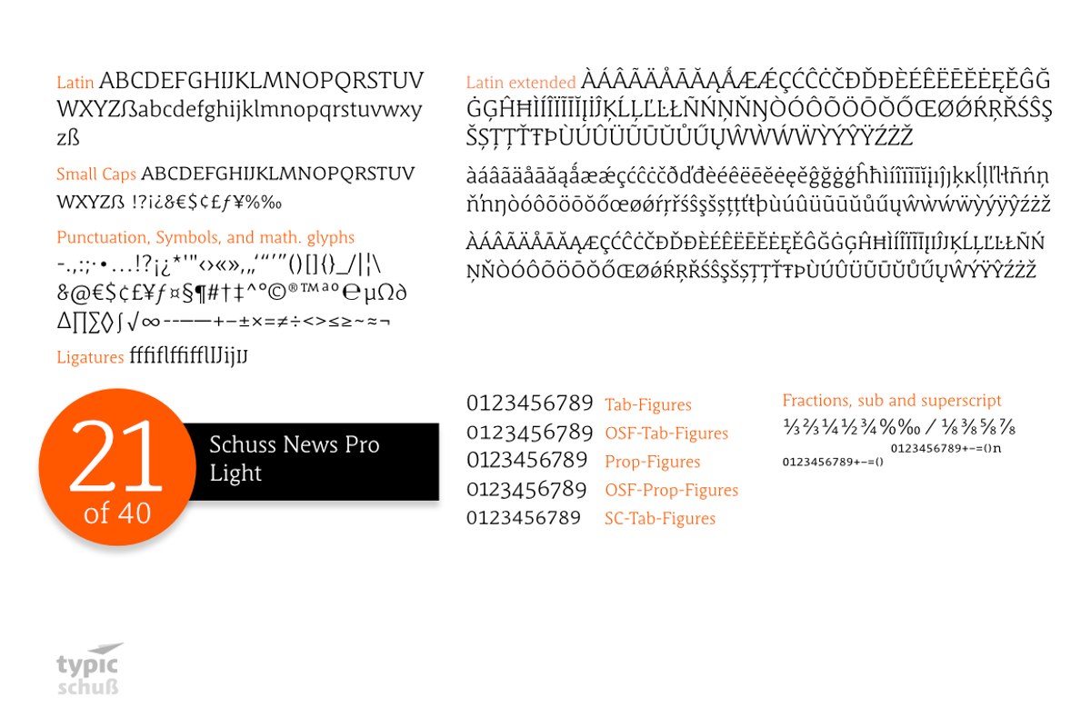 SchussNewsProLight No.21 (1 Font) preview 3