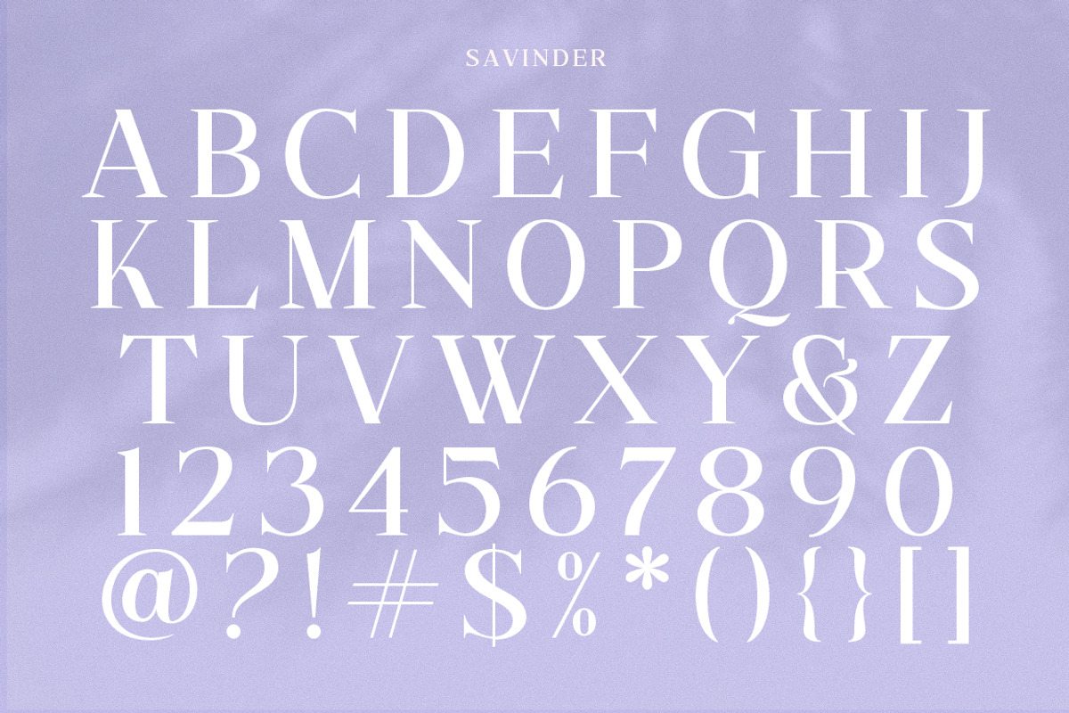 Savinder, a Serif Font by Dora Typefoundry (Photo 12 of 13)