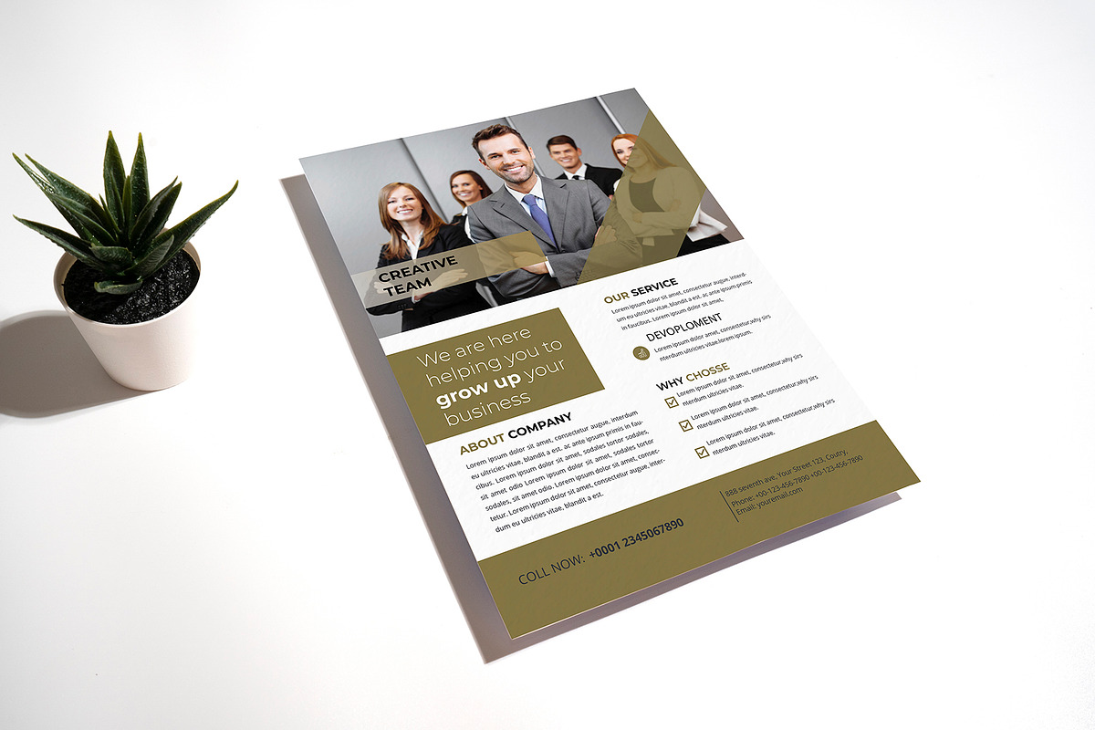 Business Flyer Template, a Flyer Template by Mazharul Islam (Photo 5 of 5)
