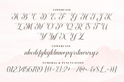 Lovely Girl - A Chic Script, a Script Font by Heinzel Std (Thumbnail 11 of 13)