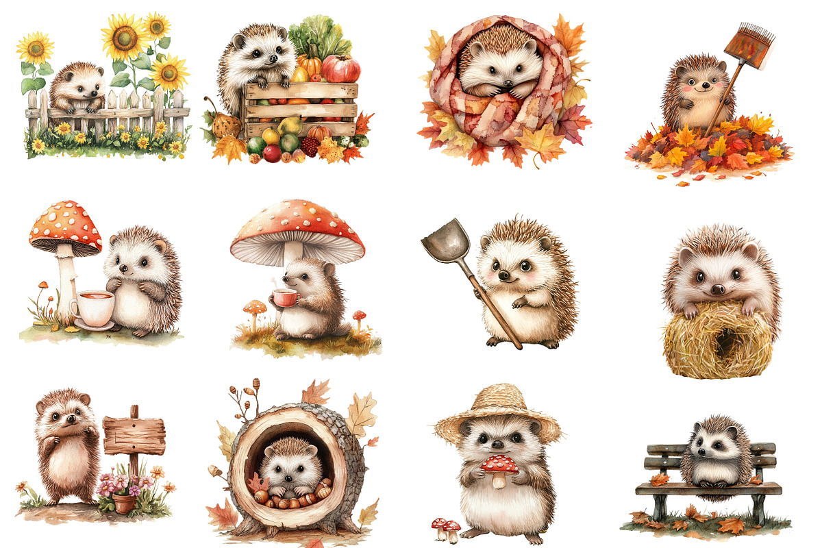 Cute Autumn Hedgehog Garden Clipart, an Illustration by Designworld (Photo 4 of 5)