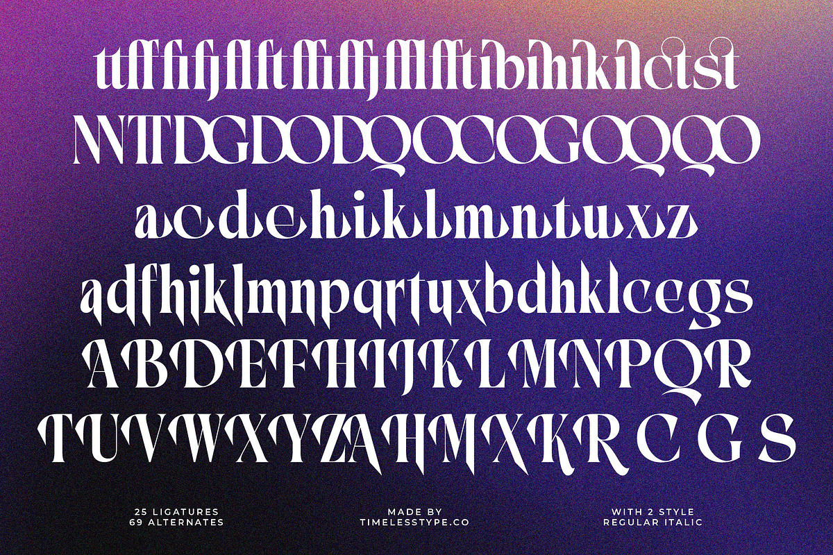 Bidqse Modern Display Serif, a Serif Font by timelesstype.co (Photo 19 of 20)