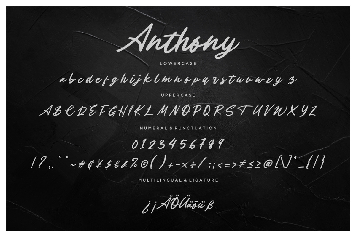 Anthony Signature Business Font preview 7