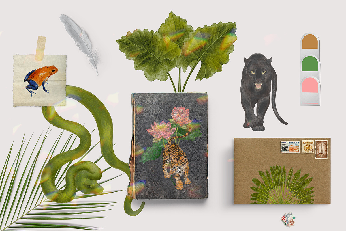 Jungle Book Watercolor Clipart, an Animal Illustration by mila_leev (Photo 6 of 6)