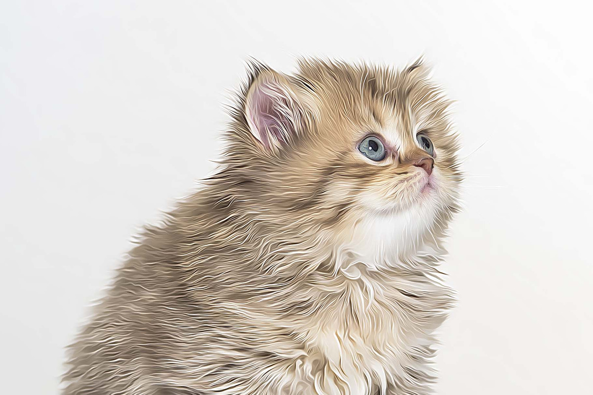 Cat and Pet Oil Painting, an Action Add-On by MRI STUDIO (Photo 14 of 17)