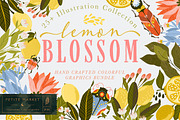 Lemon Blossom Collection, an Illustration by PetiteMarket (Thumbnail 1 of 3)