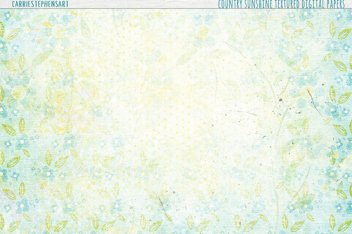 Shabby Chic Floral Digital Papers, a Pattern Graphic by Carrie Stephens Art (Photo 5 of 6)