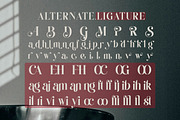 Bravo Majesty - Modern Elegant Serif, a Serif Font by Qweera Studio (Thumbnail 9 of 12)