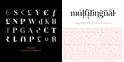 Spitzkant, a Serif Font by Julien Fincker (Thumbnail 8 of 10)