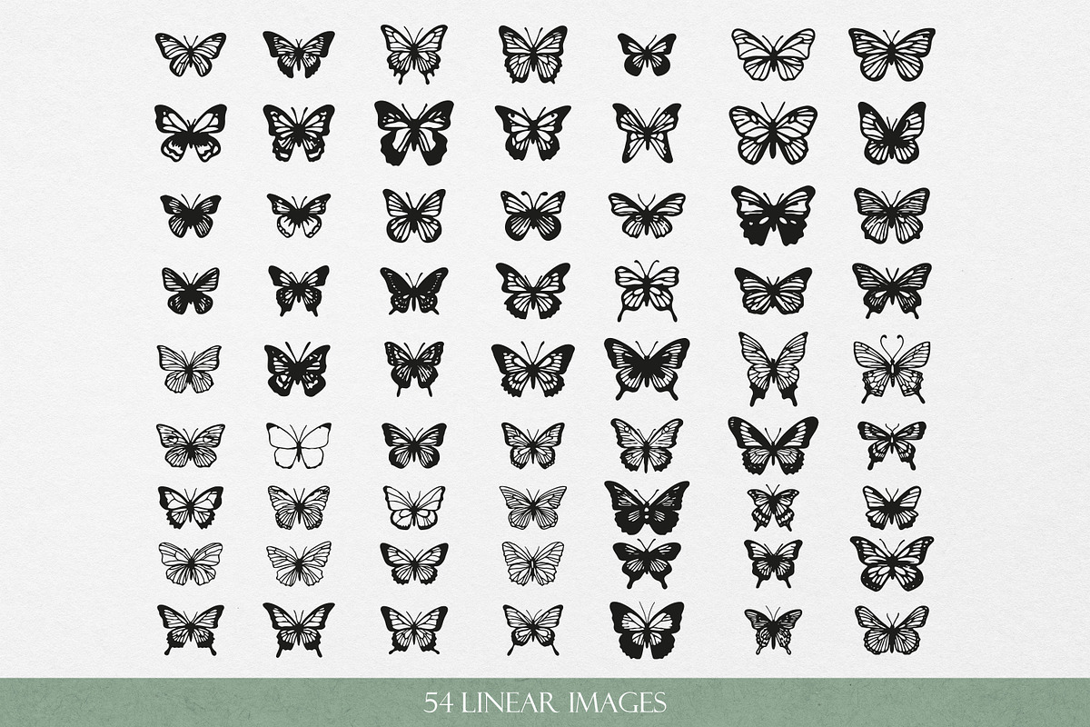 Butterfliy Line art & Silhouette SVG, an Object Graphic by Graphic Soul (Photo 2 of 3)